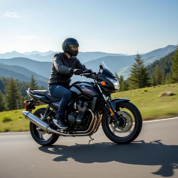 Suzuki Bandit 600 En Action