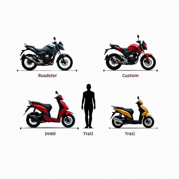 Différents types de motos et hauteur de selle pour 1m60