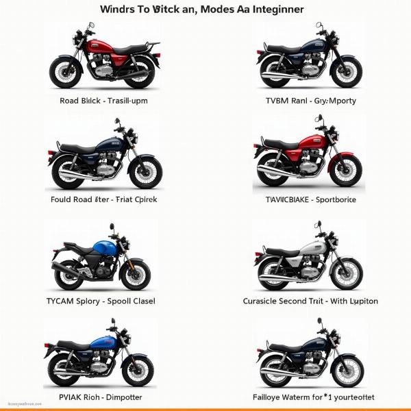 Différents types de motos pour jeune conducteur : roadster, sportive, trail, custom