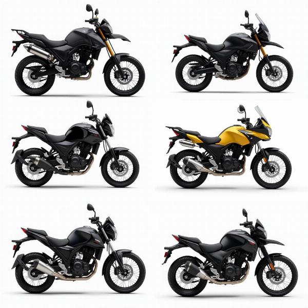 Différents types de motos d'occasion: sportive, roadster, trail