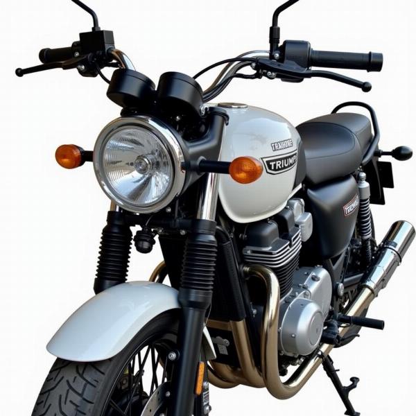 Accessoires de protection pour Triumph