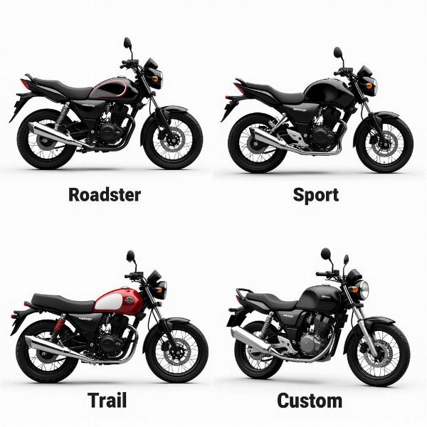 Différents types de motos 125cc : roadster, sportive, trail et custom