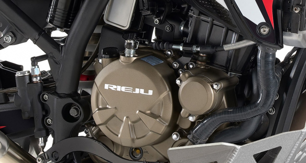 Détail du moteur de la Rieju Aventura Rally 307R